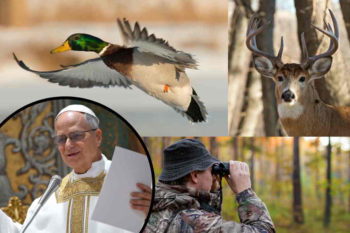 il papa si pronuncia sul ddl caccia