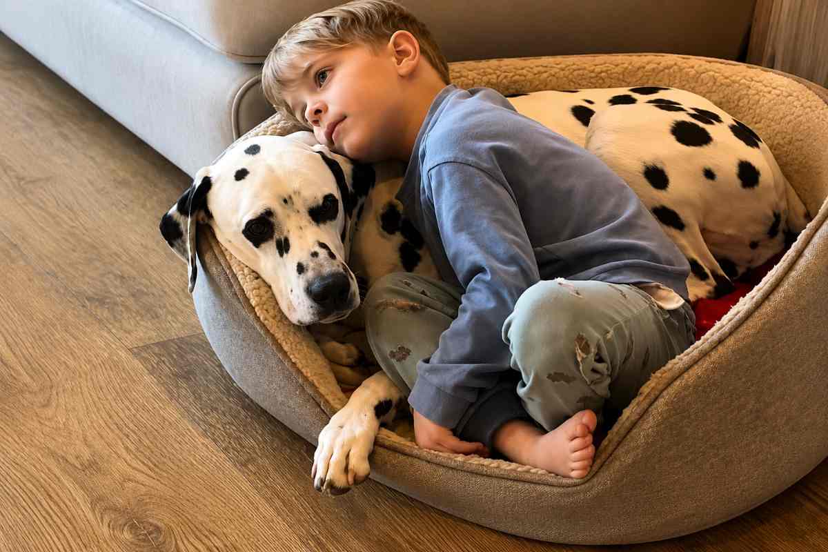 bambino e cane