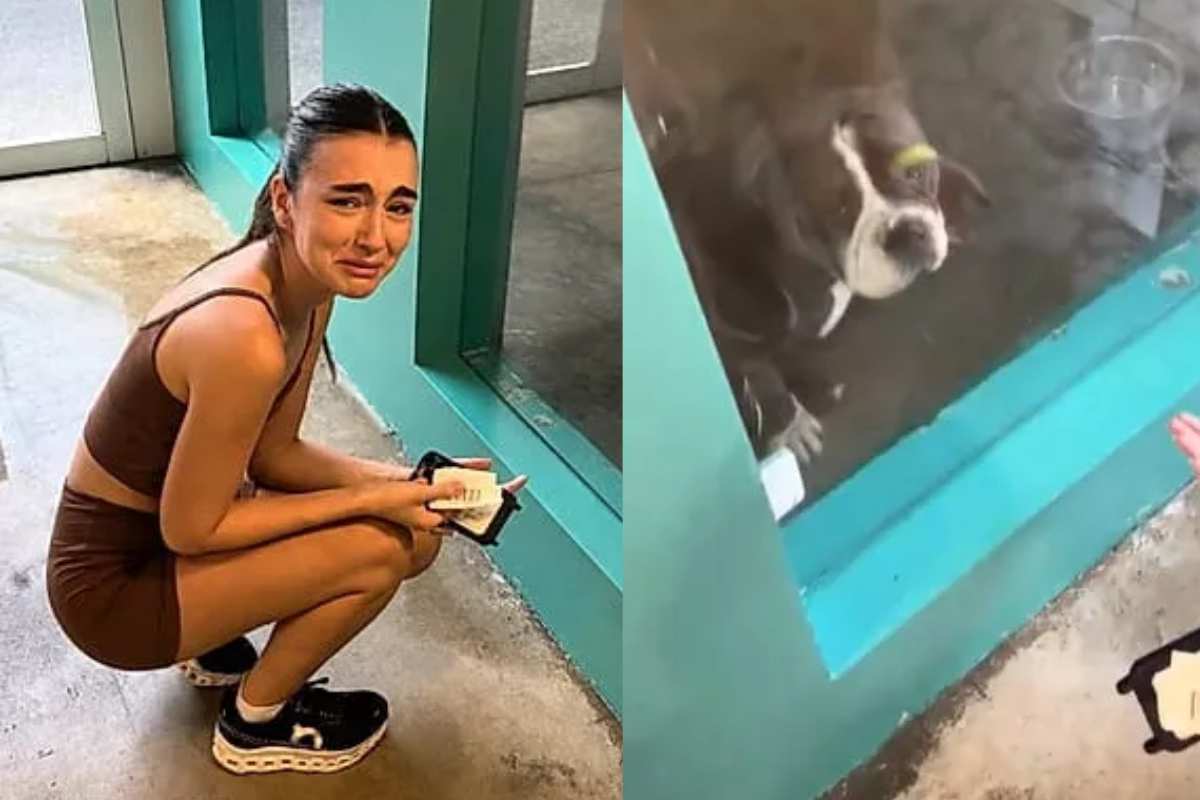 ragazza piange per il cane nel box