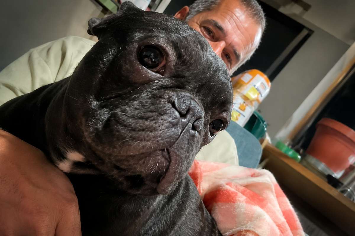 cane 
