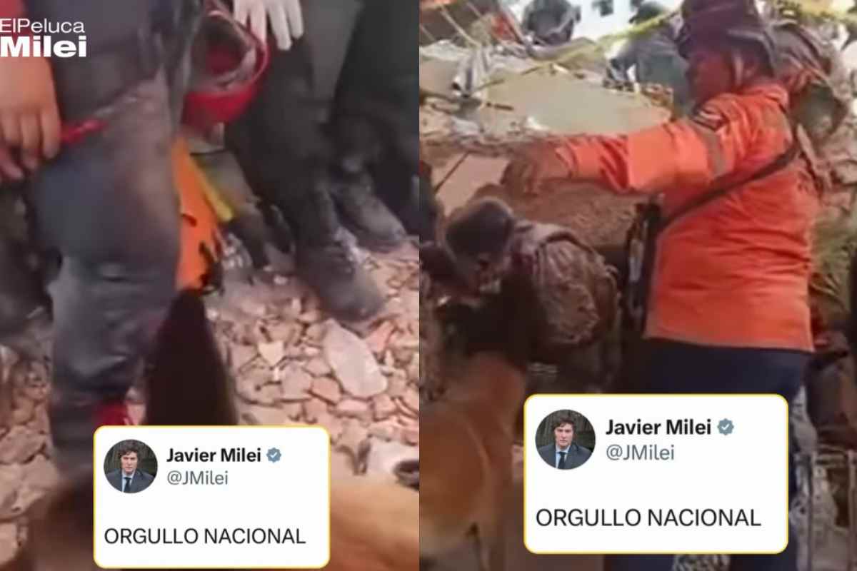 Il cane eroe Bart sfida le macerie del terremoto e salva due piccoli sopravvissuti