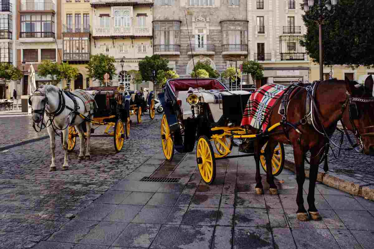 Cavalli e carrozze