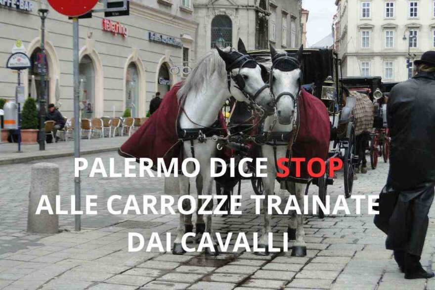 Cavalli trainano una carrozza