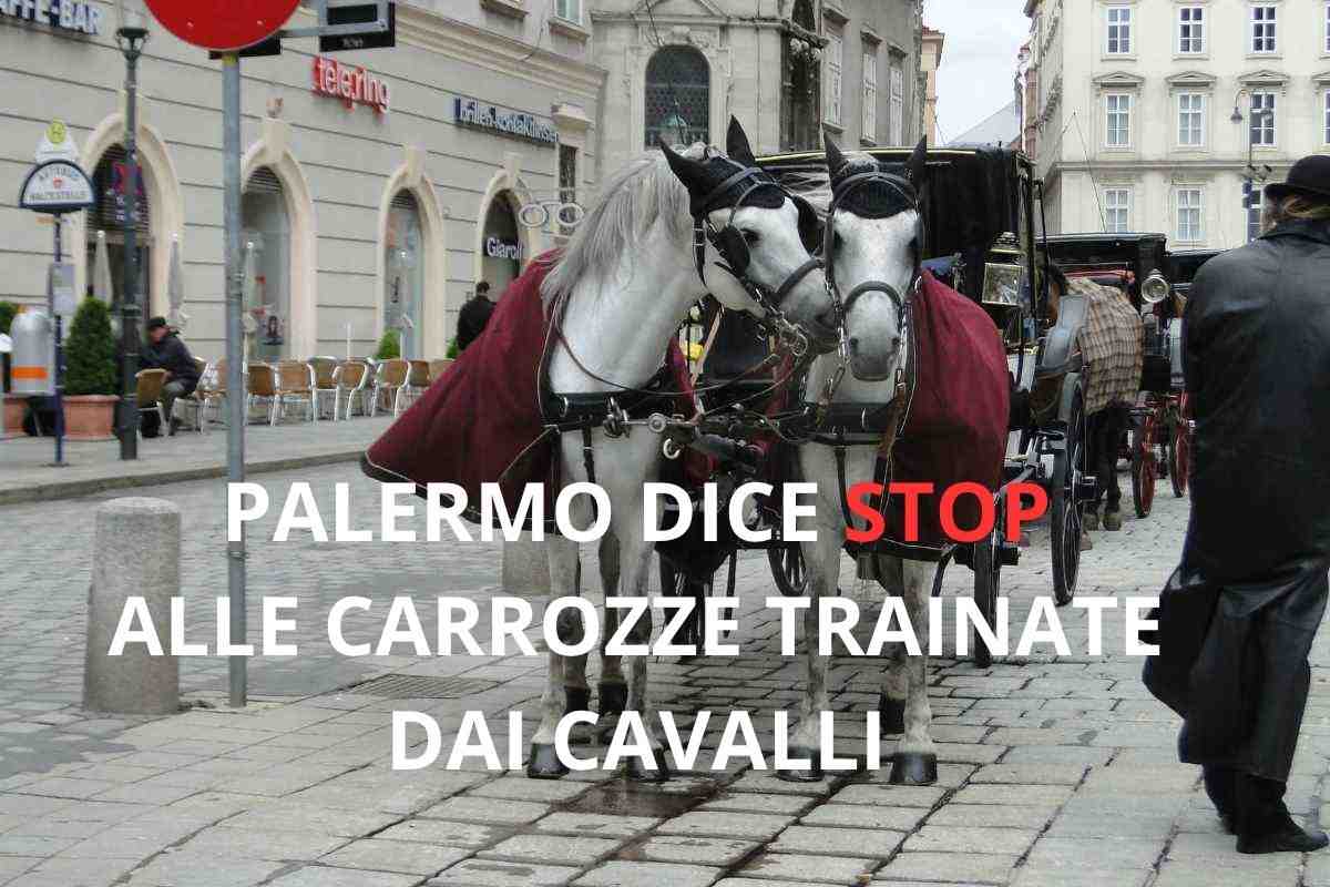 Cavalli trainano una carrozza