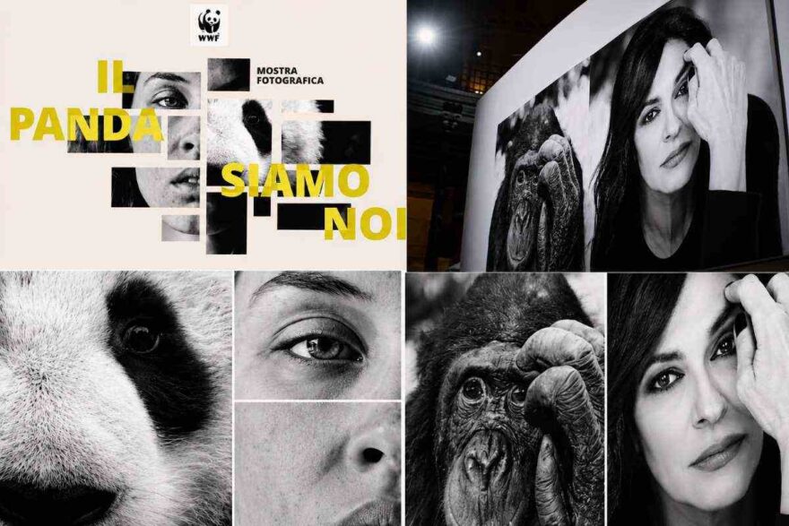 Mostra Il panda siamo noi