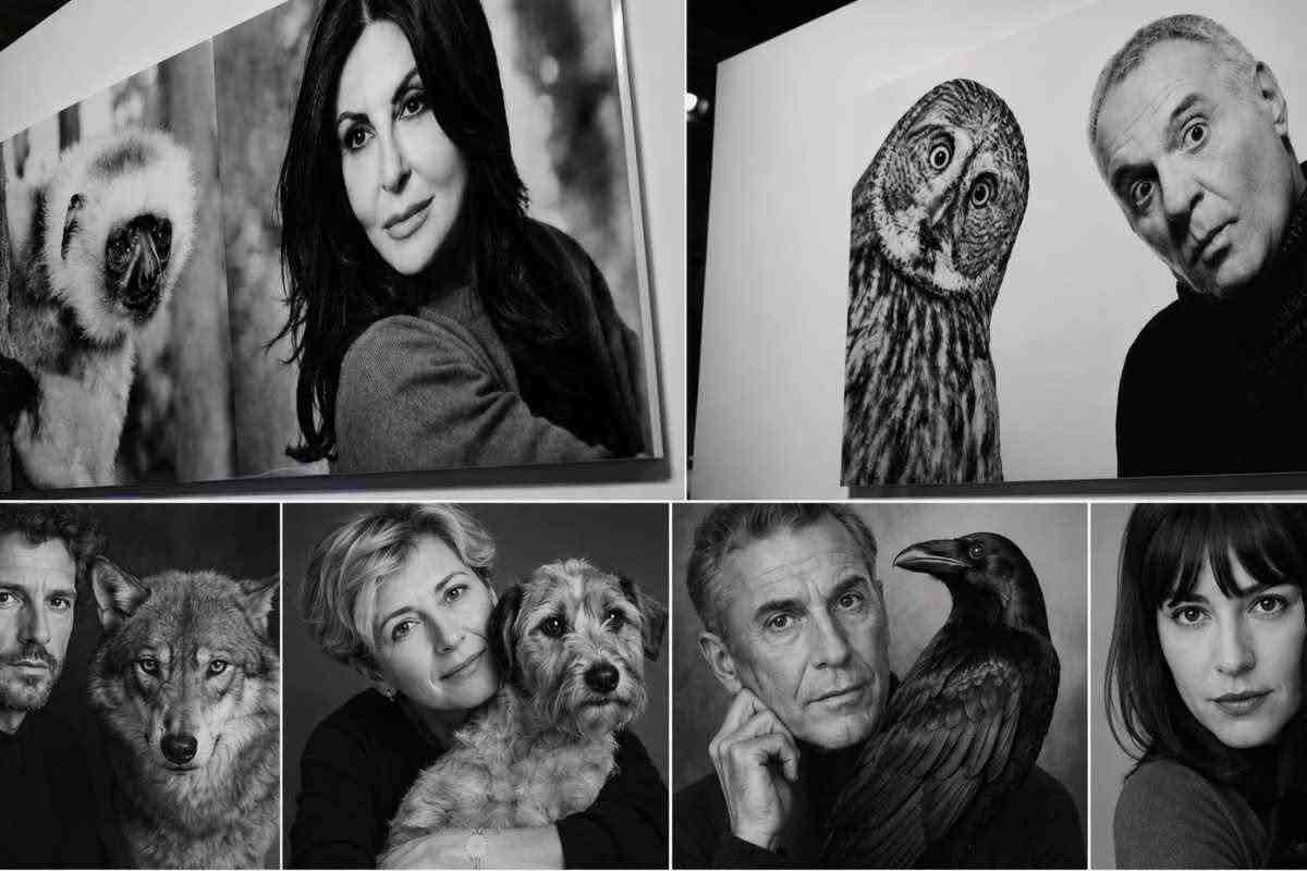 Collage di artisti con animali