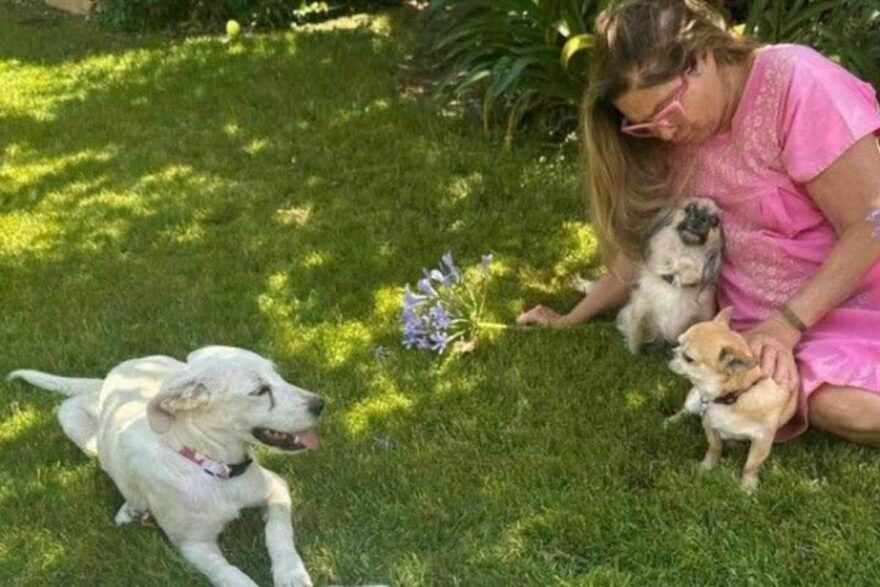 cani con Romina Power
