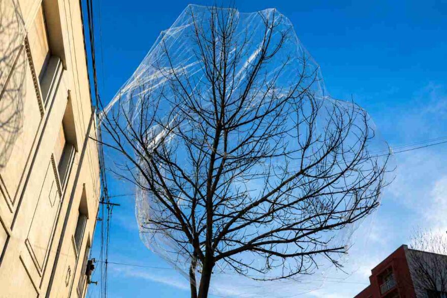 reti alberi