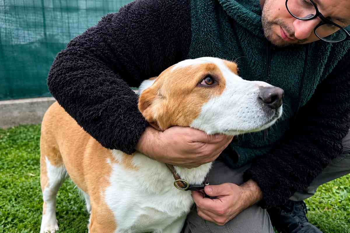 cane umano 