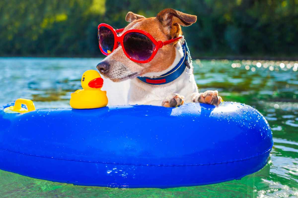 dove portare il cane in estate