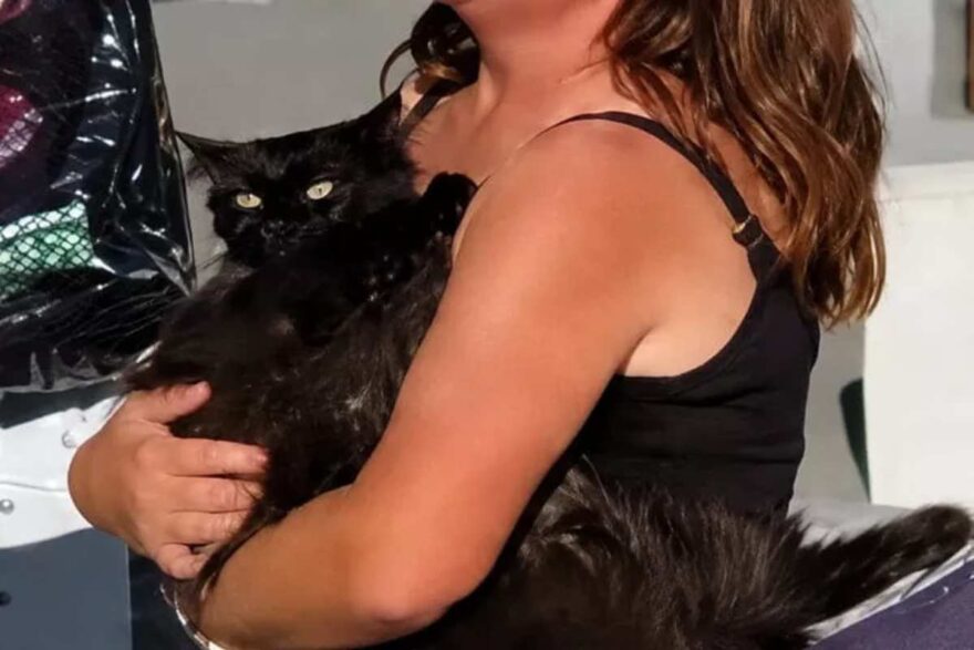 Gatto nero in braccio alla sua umana