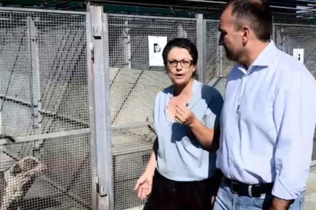 Il sindaco di Torino al canile