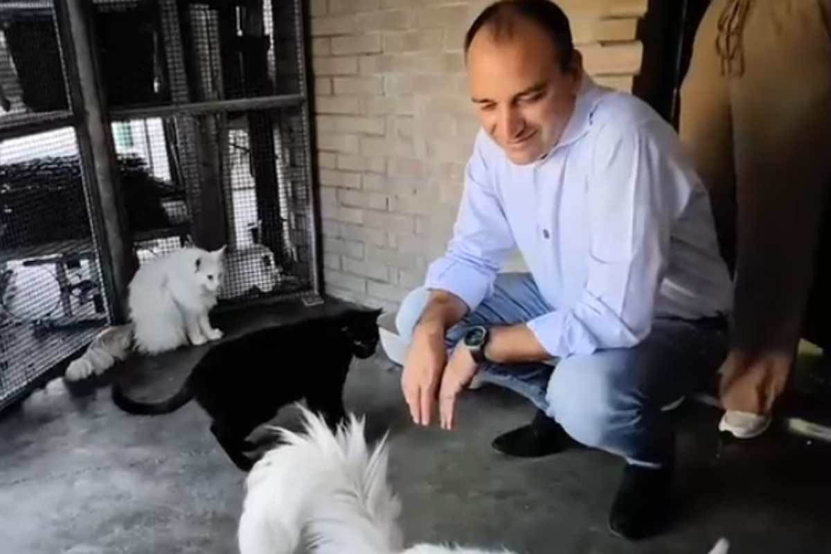 il sindaco di Torino con i gatti