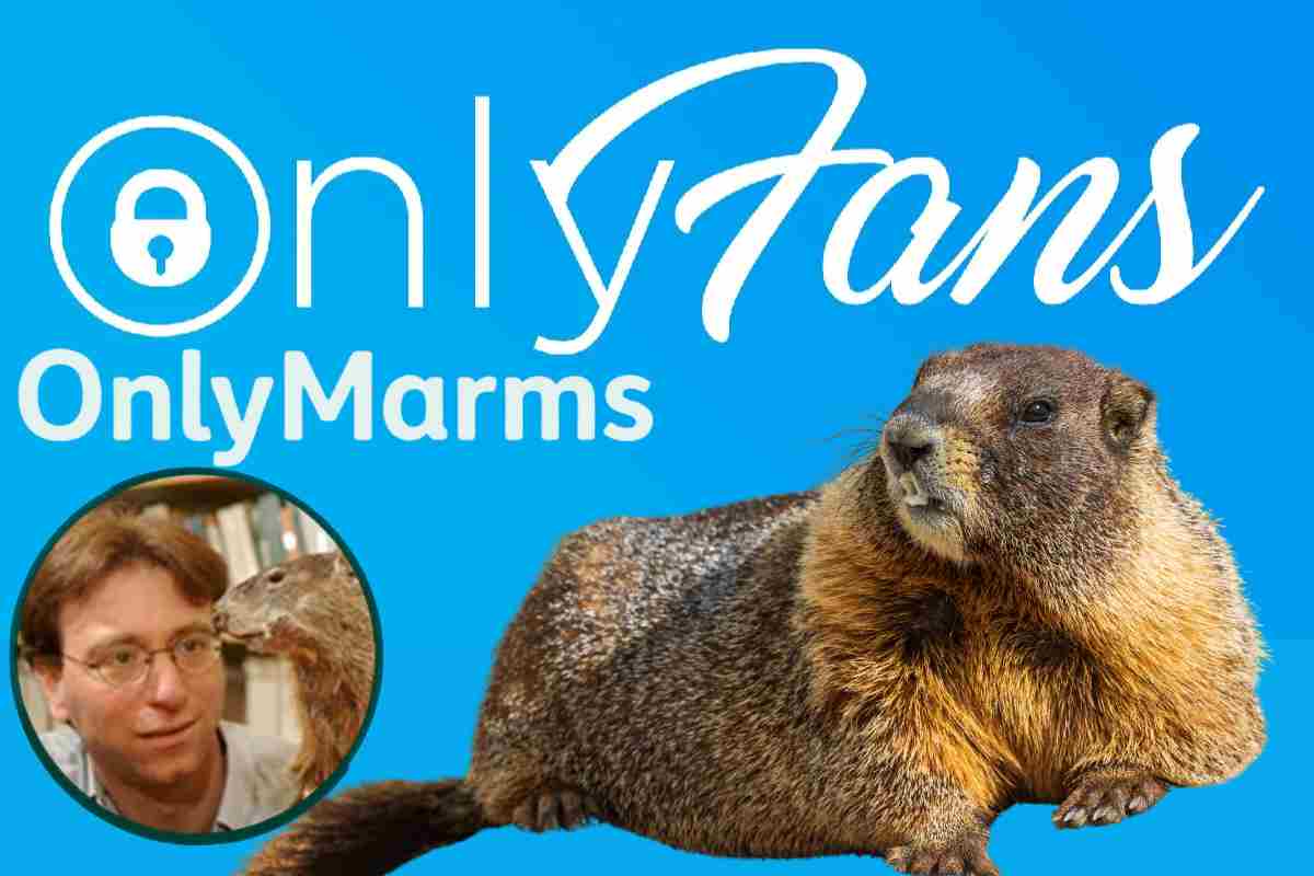 marmotte su onlyfans