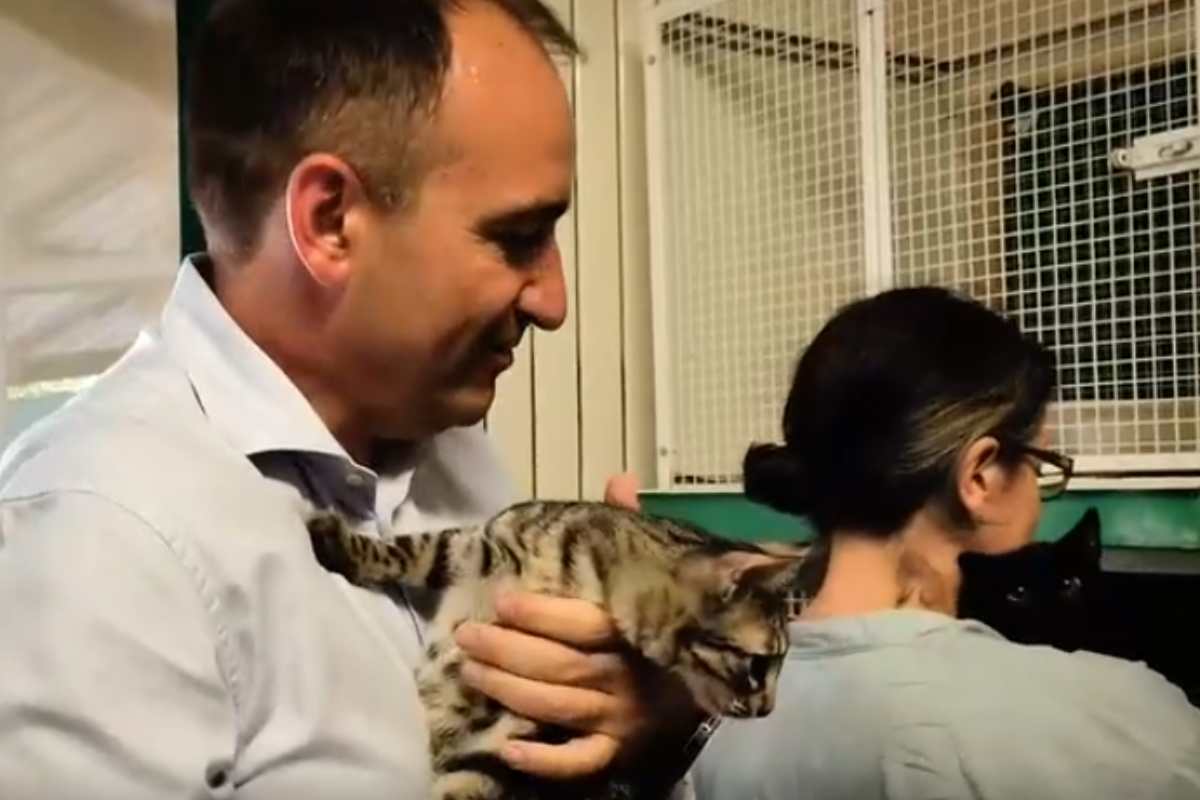 sindaco con gatto al canile