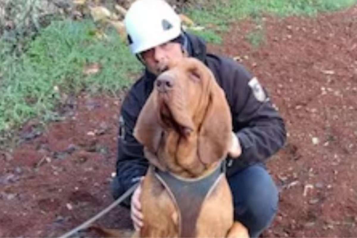 cane Bruno