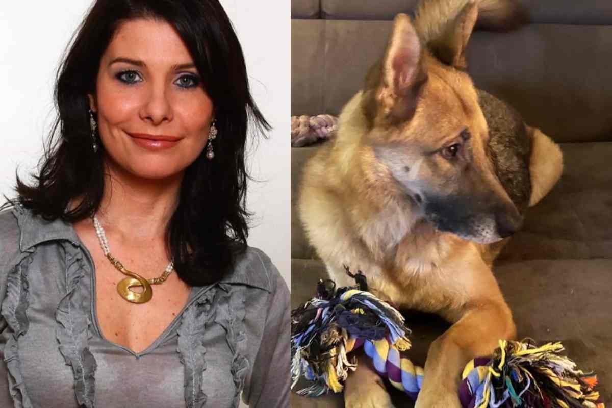 Non Z Addio a Christiana Ruggeri, i suoi cani Zeus e Bella cercano una ...