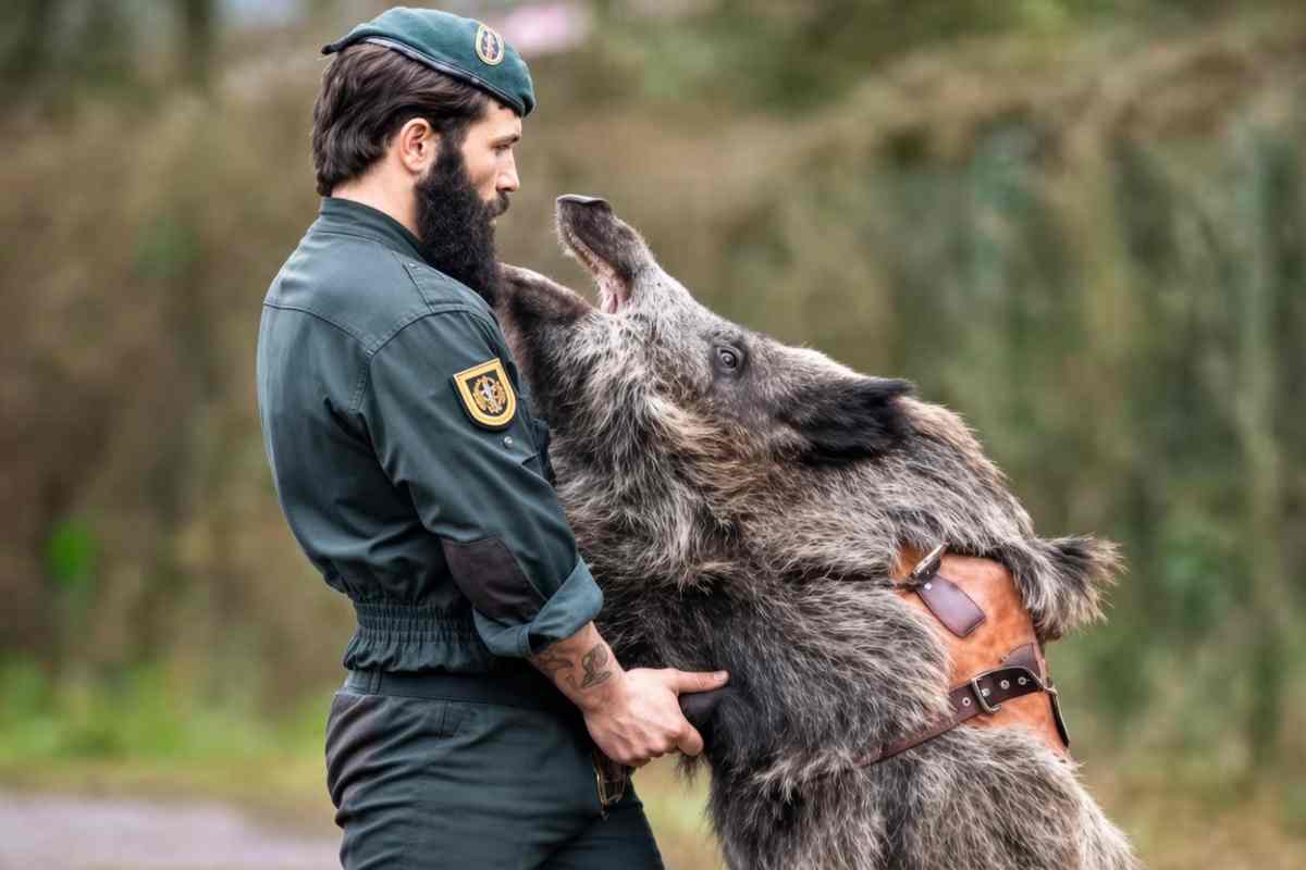 Iratxo il cinghiale mascotte della guardia civil con un militare