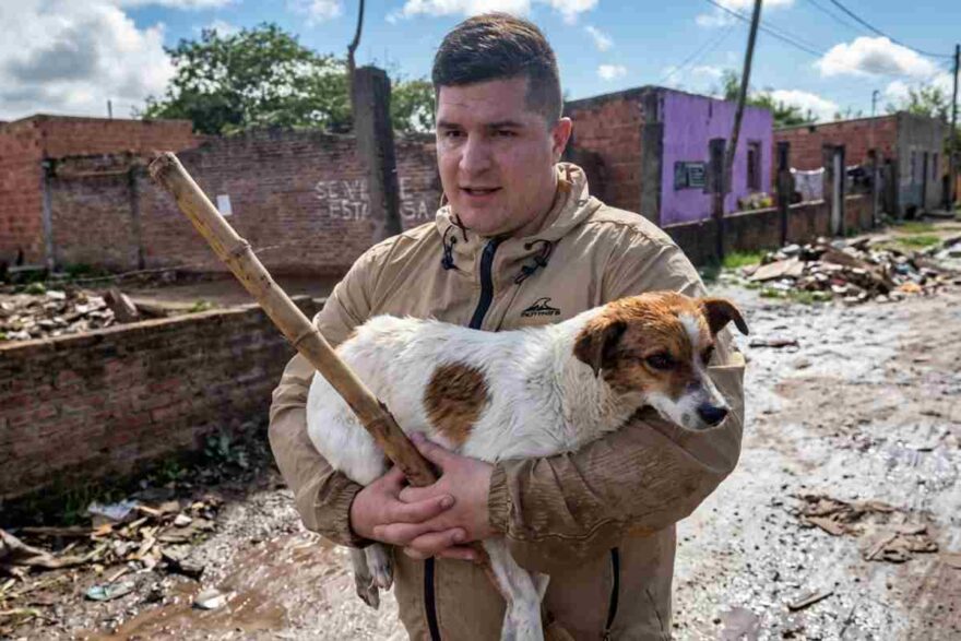 il giornalista col cane salvato tra le braccia